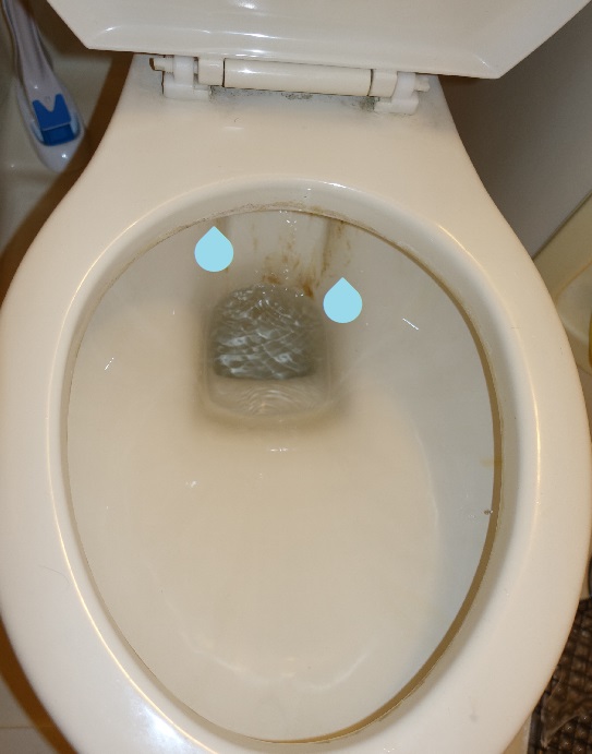 立川市でトイレ便器への水漏れを修理 多摩水道修理サービス